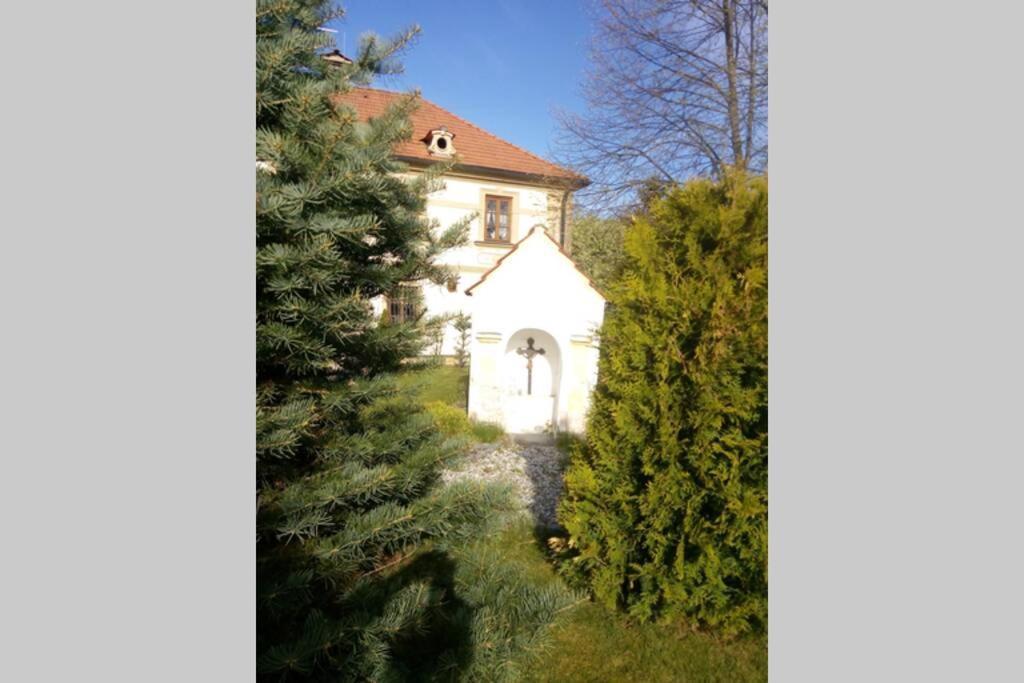 Zámeček Zdíky - Knížecí apartmán Bujanov Exterior foto